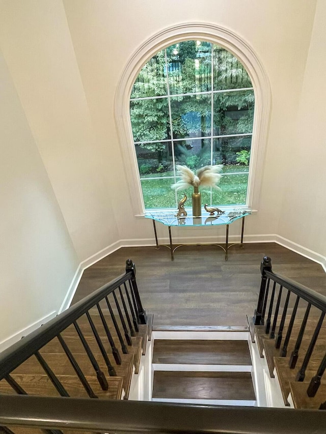 stairway with plenty of natural light and hardwood / wood-style flooring