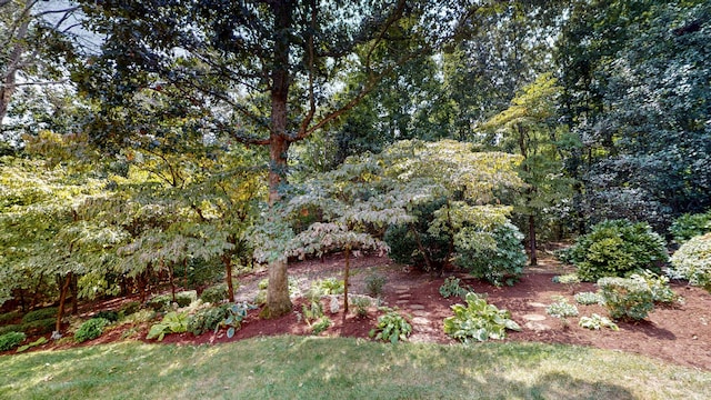 3943 Clairmont Dr NE, Cleveland, TN 37312 - photo 70