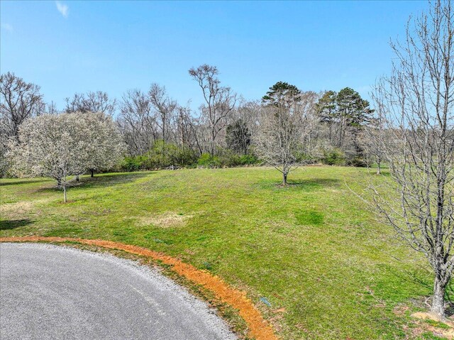 LOT3 Brinkmeier Ln, Dayton, TN 37321 - photo 9