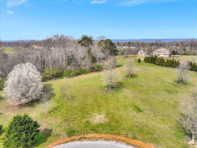 LOT3 Brinkmeier Ln, Dayton, TN 37321 - photo 4
