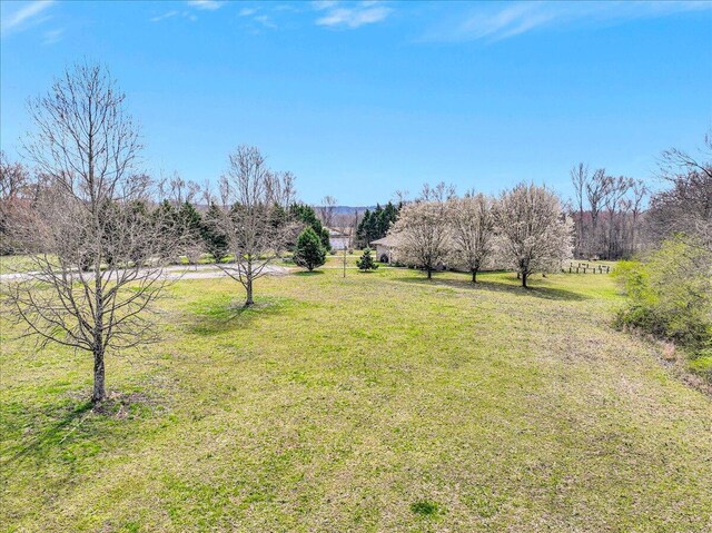 LOT3 Brinkmeier Ln, Dayton, TN 37321 - photo 11