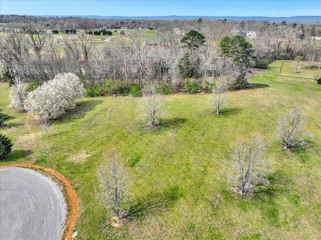 LOT3 Brinkmeier Ln, Dayton, TN 37321 - photo 5