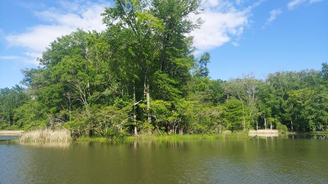 000 Warren Ln, Decatur, TN 37322 - photo 5