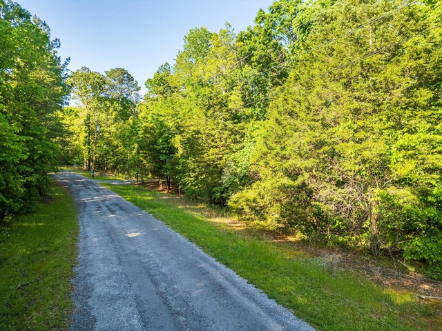 000 Warren Ln, Decatur, TN 37322 - photo 2