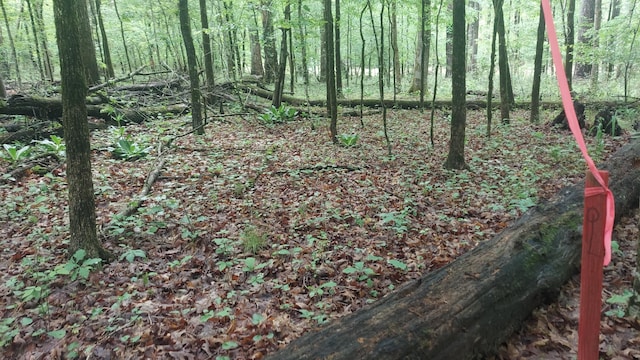 000 Warren Ln, Decatur, TN 37322 - photo 3