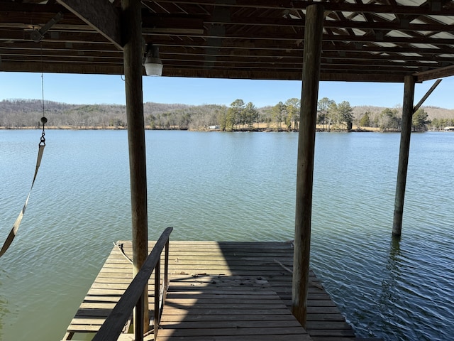 dock area with a water view