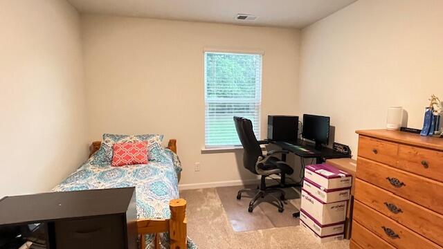 701 Tellico Ave W, Athens, TN 37303 - photo 34