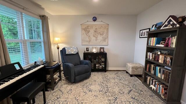 701 Tellico Ave W, Athens, TN 37303 - photo 12