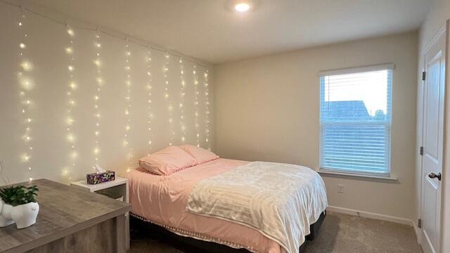 701 Tellico Ave W, Athens, TN 37303 - photo 38