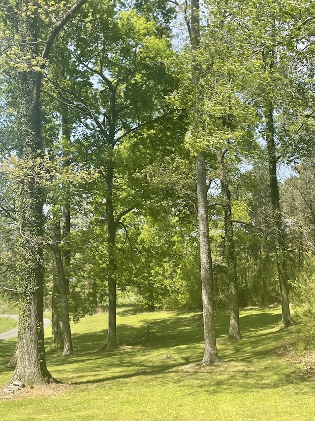 view of nature