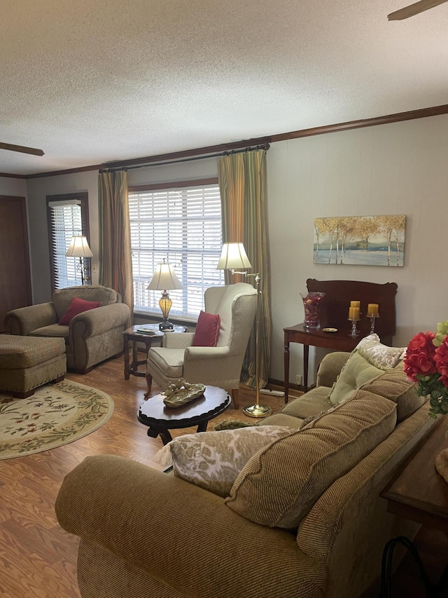 living area featuring ceiling fan, crown molding, a textured ceiling, and wood finished floors