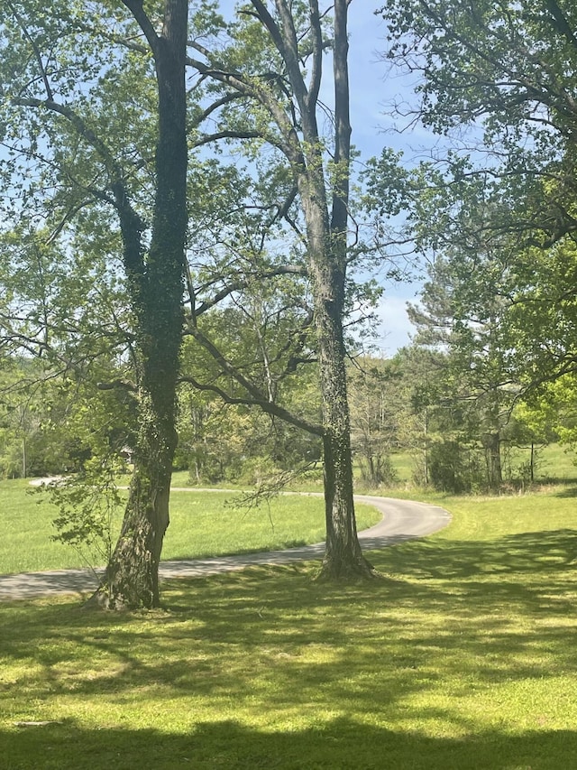view of property's community with a yard