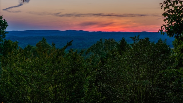 view of mountain feature