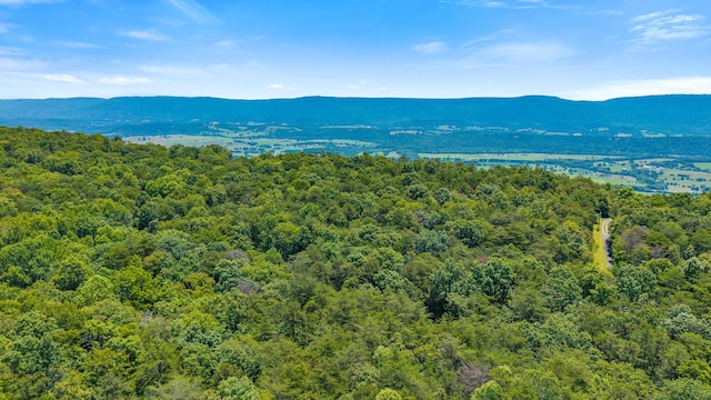 59.73AC Windridge Dr, Dunlap, TN 37327 - photo 8
