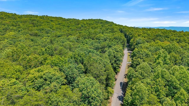 59.73AC Windridge Dr, Dunlap, TN 37327 - photo 12
