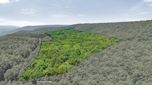 59.73AC Windridge Dr, Dunlap, TN 37327 - photo 3