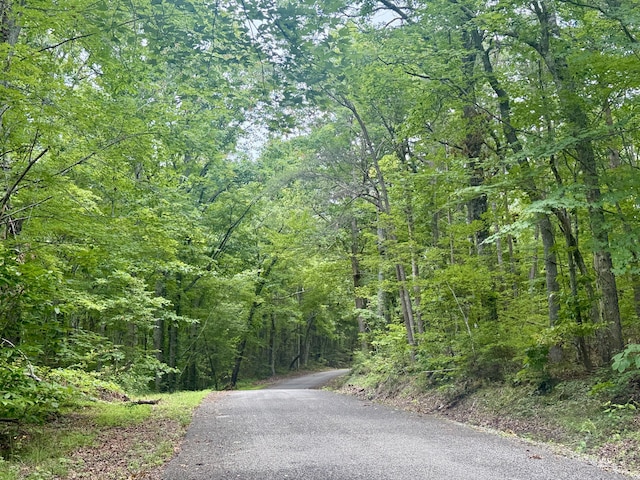 59.73AC Windridge Dr, Dunlap, TN 37327 - photo 24