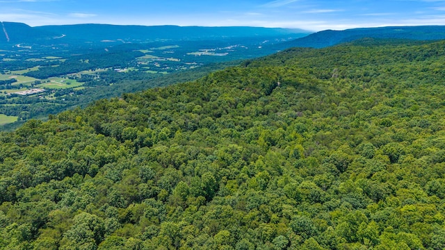 59.73AC Windridge Dr, Dunlap, TN 37327 - photo 7