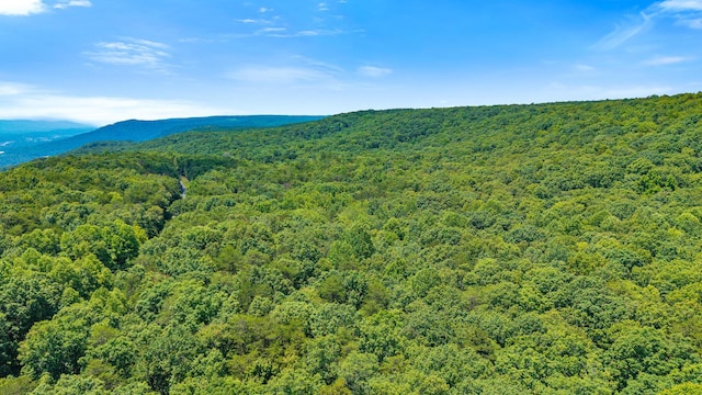 59.73AC Windridge Dr, Dunlap, TN 37327 - photo 5