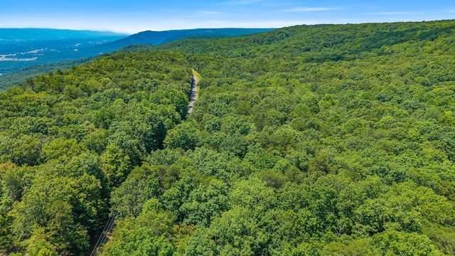 59.73AC Windridge Dr, Dunlap, TN 37327 - photo 10