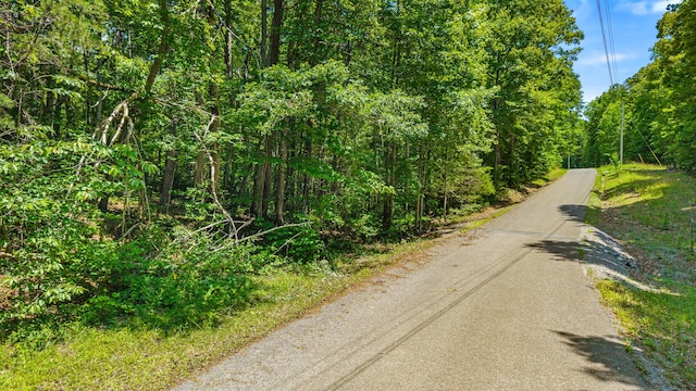 59.73AC Windridge Dr, Dunlap, TN 37327 - photo 31