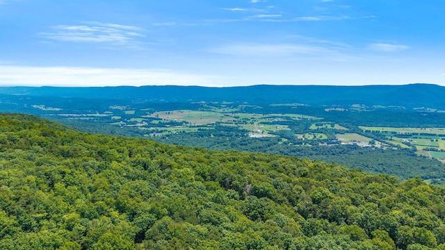 59.73AC Windridge Dr, Dunlap, TN 37327 - photo 1