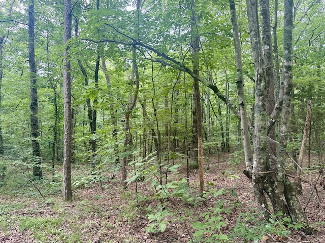 59.73AC Windridge Dr, Dunlap, TN 37327 - photo 22