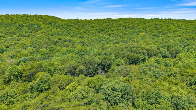 59.73AC Windridge Dr, Dunlap, TN 37327 - photo 11