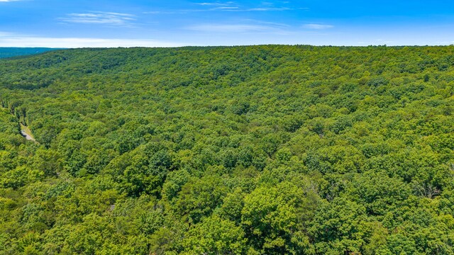59.73AC Windridge Dr, Dunlap, TN 37327 - photo 6