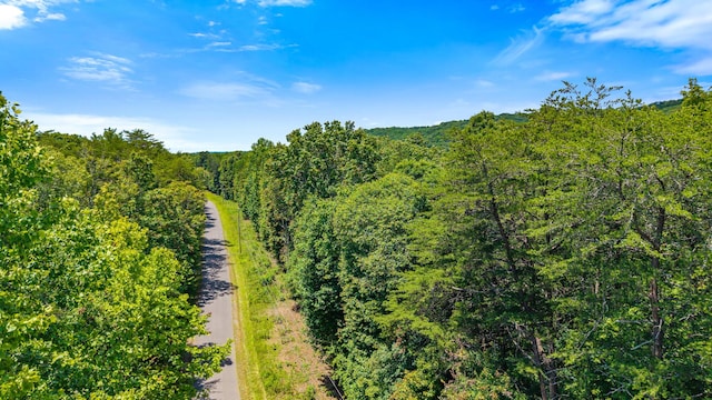 59.73AC Windridge Dr, Dunlap, TN 37327 - photo 13