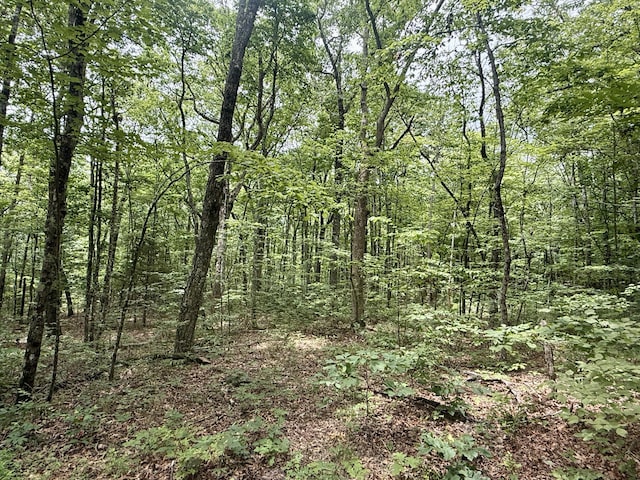 59.73AC Windridge Dr, Dunlap, TN 37327 - photo 20