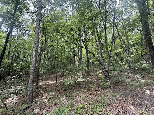 59.73AC Windridge Dr, Dunlap, TN 37327 - photo 21