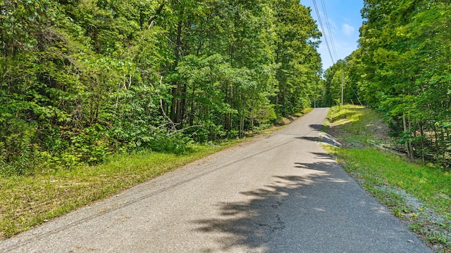 59.73AC Windridge Dr, Dunlap, TN 37327 - photo 30