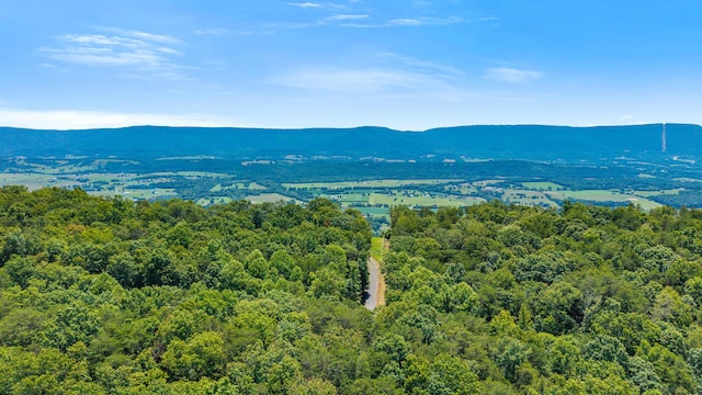 59.73AC Windridge Dr, Dunlap, TN 37327 - photo 9