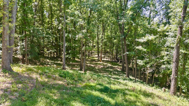 6300 Davis Hill Rd, Harrison, TN 37341 - view of woods