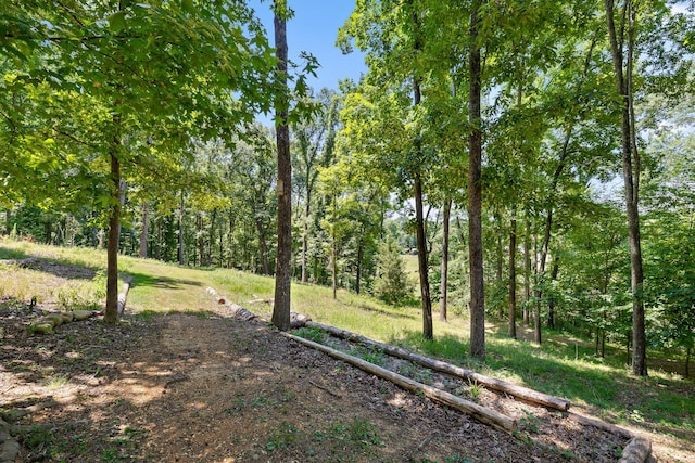 6300 Davis Hill Rd, Harrison, TN 37341 - view of yard