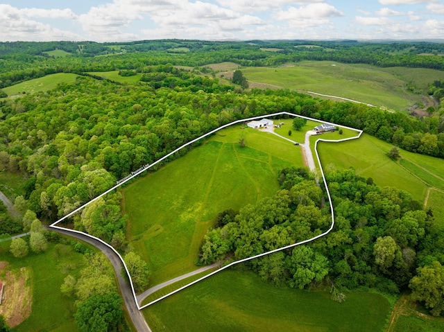 291 County Road 275, Niota, TN 37826 - photo 1