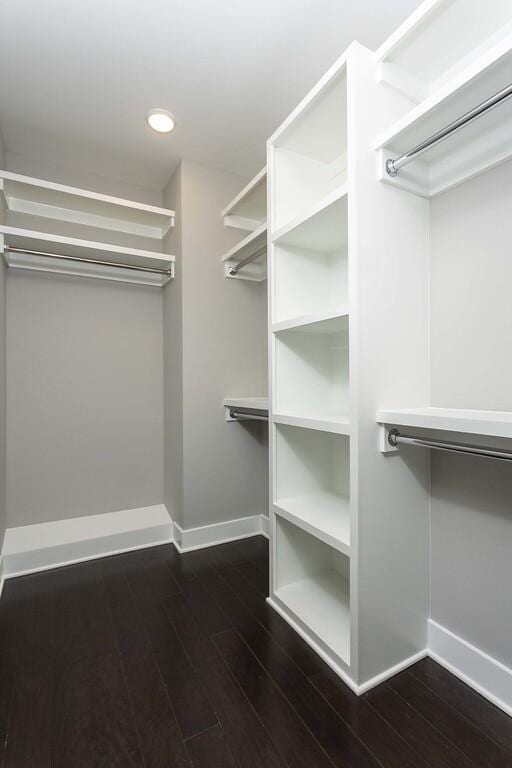 spacious closet featuring dark wood-type flooring