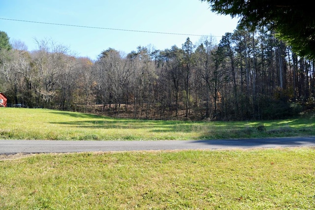 177 S Pine St, Dayton TN, 37321 land for sale