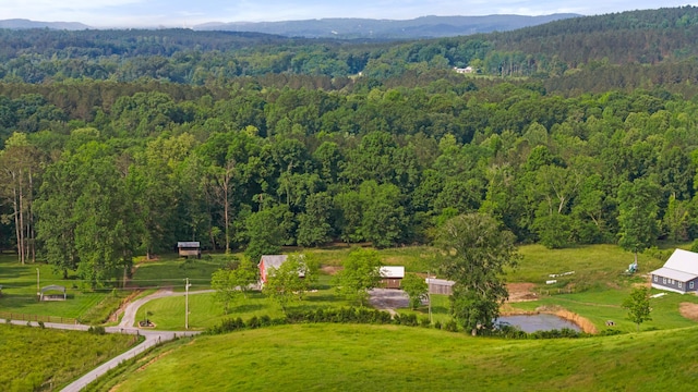 537 County Road 29, Riceville, TN 37370 - photo 46