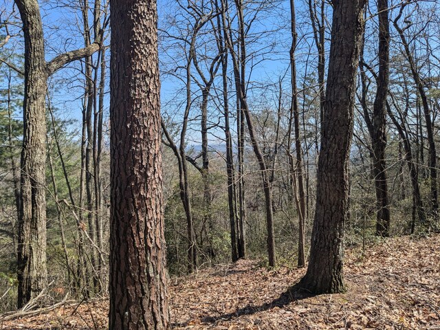 1 Kimsey Mountain Highway, Turtletown, TN 37391