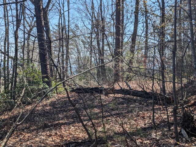 1 Kimsey Mountain Highway, Turtletown, TN 37391