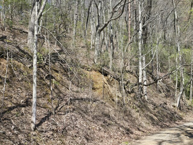 1 Kimsey Mountain Highway, Turtletown, TN 37391