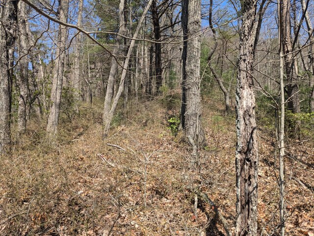 1 Kimsey Mountain Highway, Turtletown, TN 37391