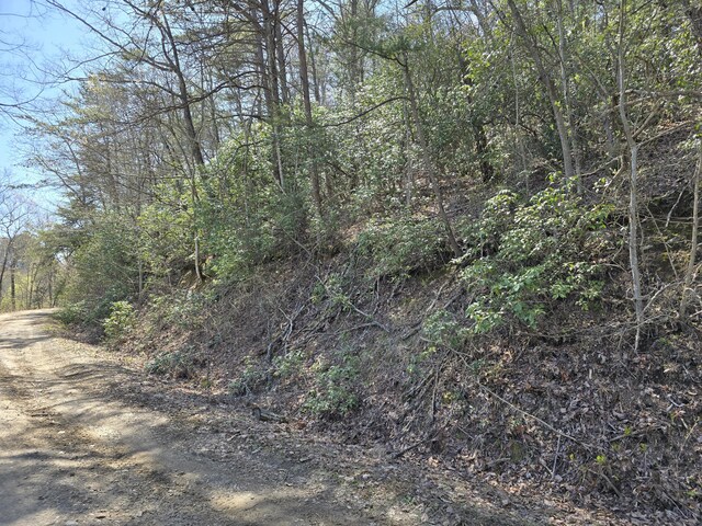 1 Kimsey Mountain Highway, Turtletown, TN 37391
