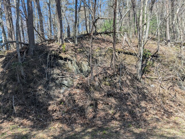 1 Kimsey Mountain Highway, Turtletown, TN 37391