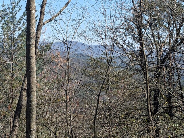 1 Kimsey Mountain Highway, Turtletown, TN 37391