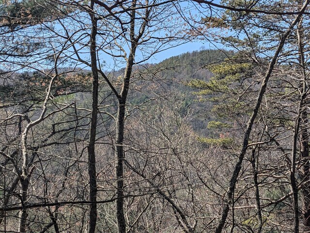 1 Kimsey Mountain Highway, Turtletown, TN 37391