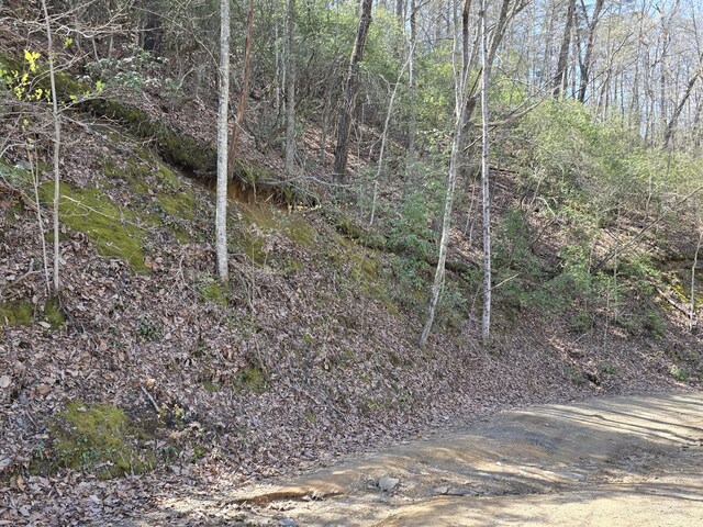 1 Kimsey Mountain Highway, Turtletown, TN 37391
