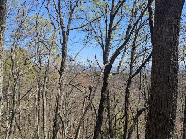 1 Kimsey Mountain Highway, Turtletown, TN 37391